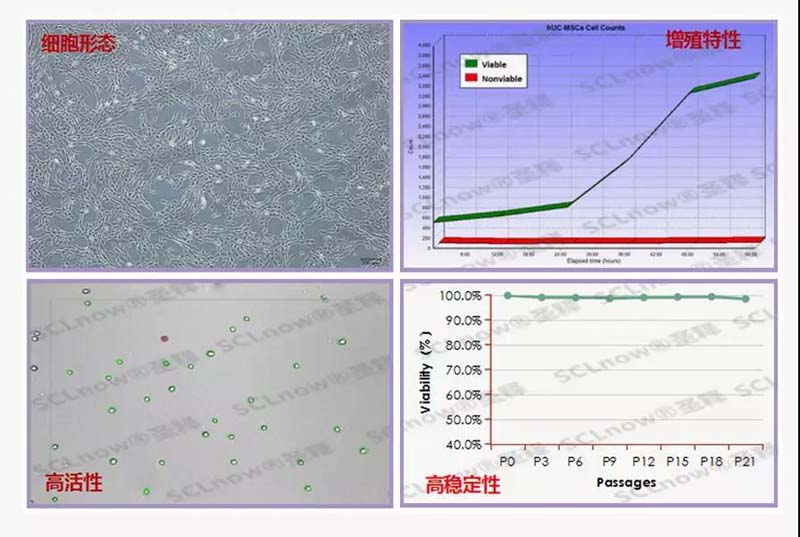 2019最有品质的年货——释胞儿<sup>®</sup>