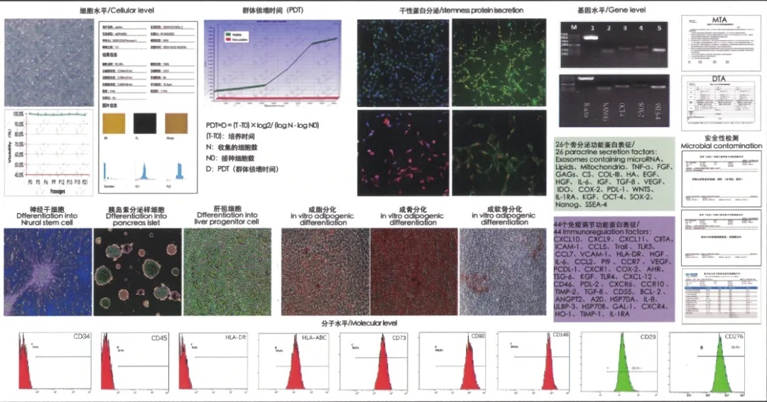 走进圣胞儿<sup>®</sup>：从hUC-MSCs数据化微生理管理系统DMPS，了解热门诺贝尔奖miRNA